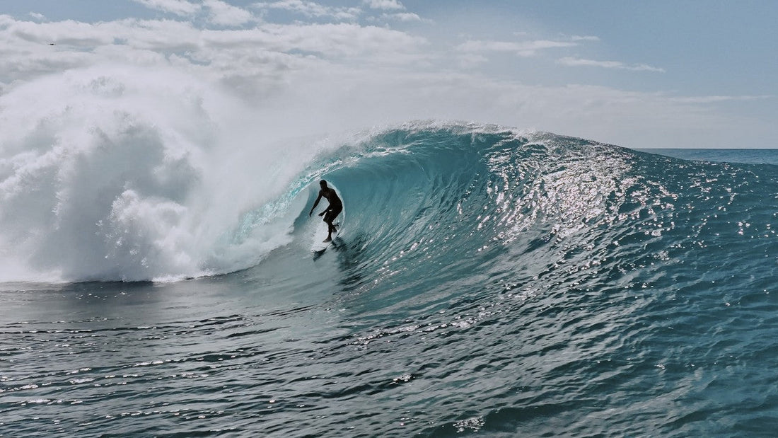 BONEHEAD | Soli Bailey