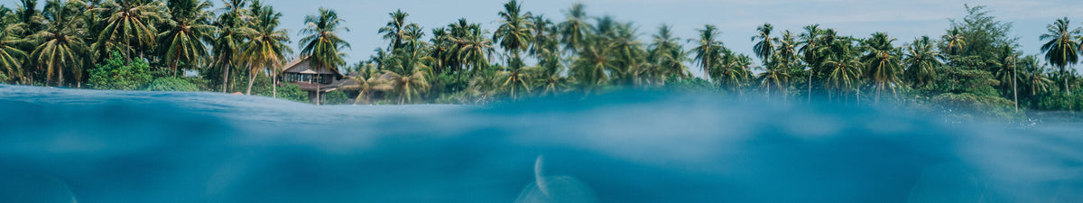 Surf Travel Essentials