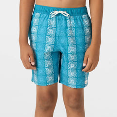 Boy's Hermosa EW 16" Beach Shorts - Stormy