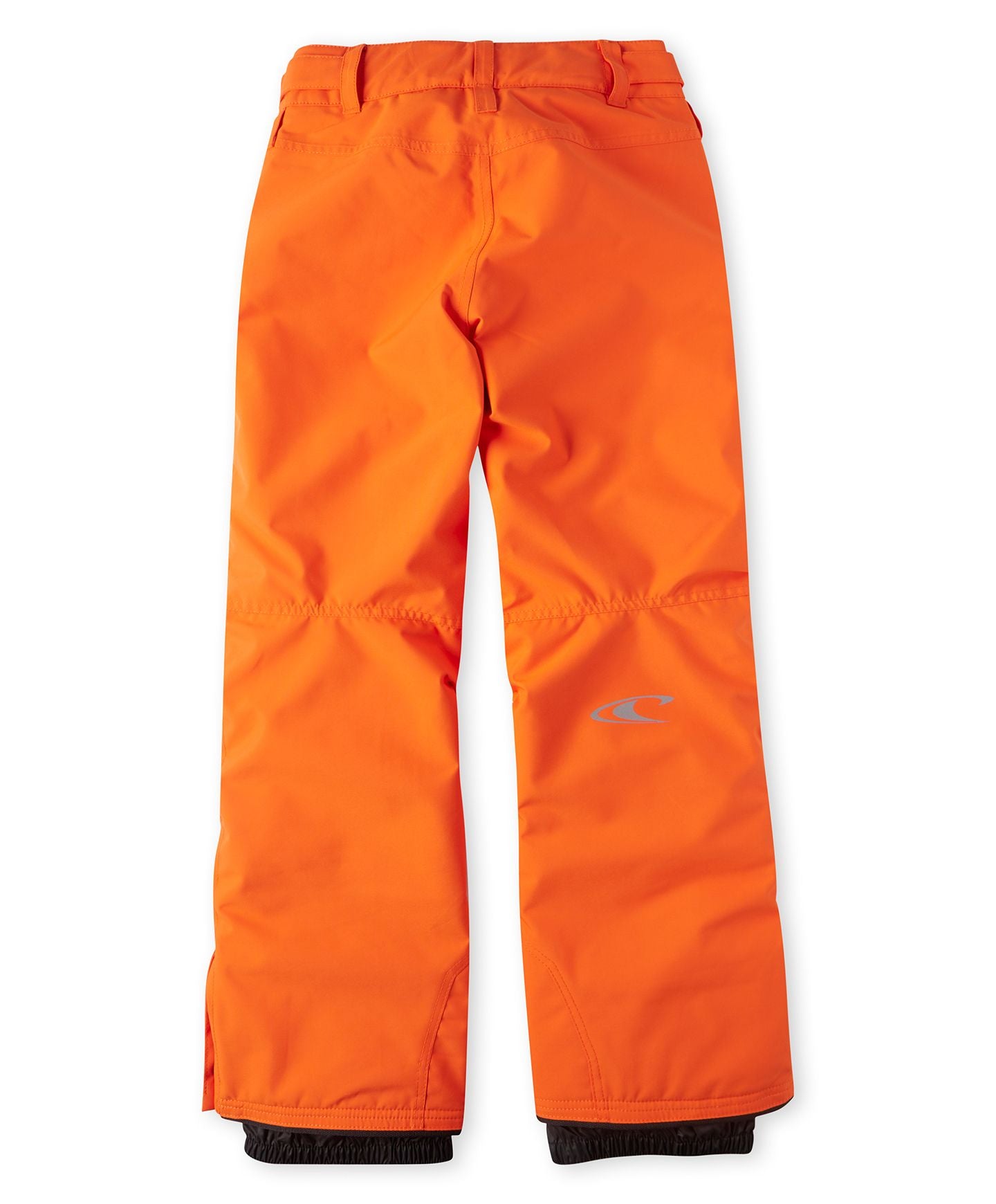Buy Boys Anvil Snow Pants - PuffinS Bill by ONeill online